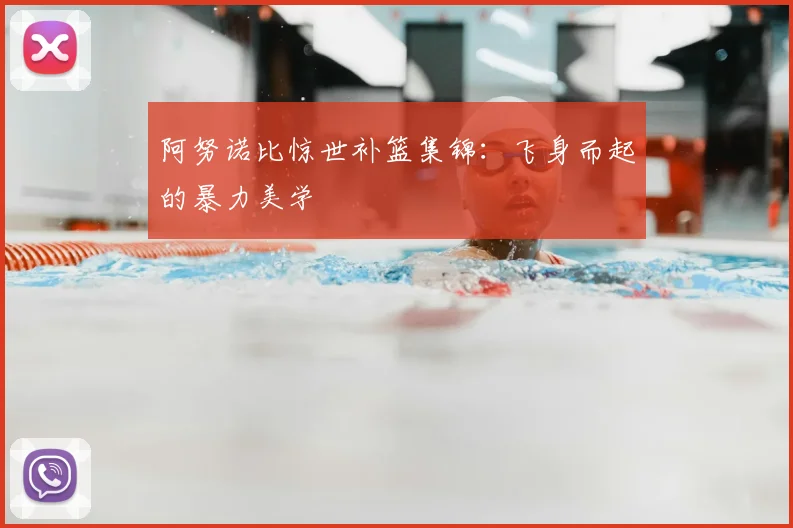 阿努诺比惊世补篮集锦：飞身而起的暴力美学