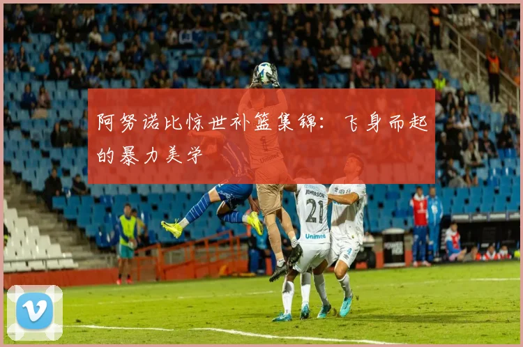 阿努诺比惊世补篮集锦:飞身而起的暴力美学