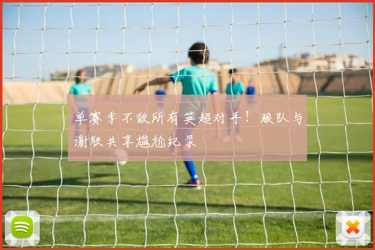单赛季不敌所有英超对手!狼队与谢联共享尴尬纪录